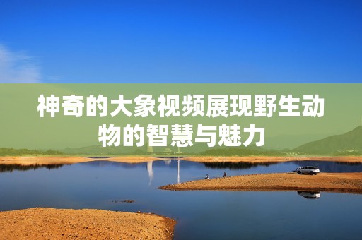 神奇的大象视频展现野生动物的智慧与魅力