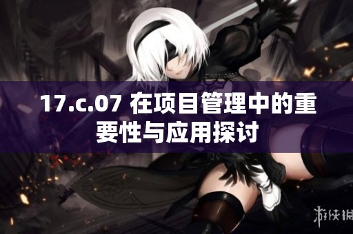 17.c.07 在项目管理中的重要性与应用探讨