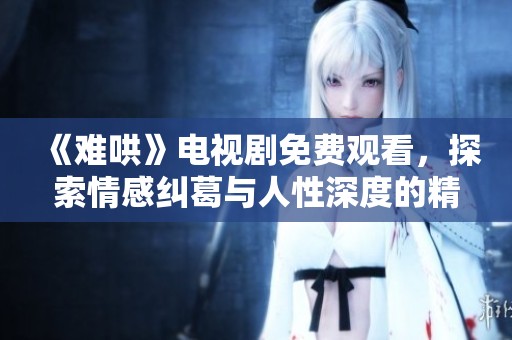 《难哄》电视剧免费观看，探索情感纠葛与人性深度的精彩剧情