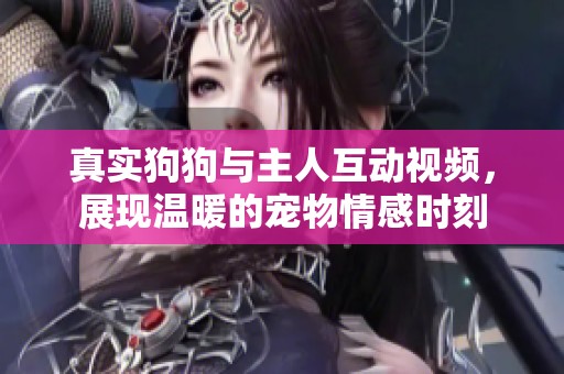 真实狗狗与主人互动视频，展现温暖的宠物情感时刻