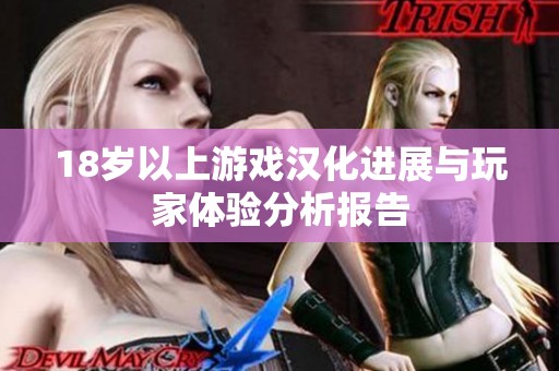 18岁以上游戏汉化进展与玩家体验分析报告