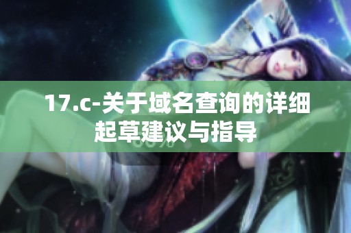 17.c-关于域名查询的详细起草建议与指导
