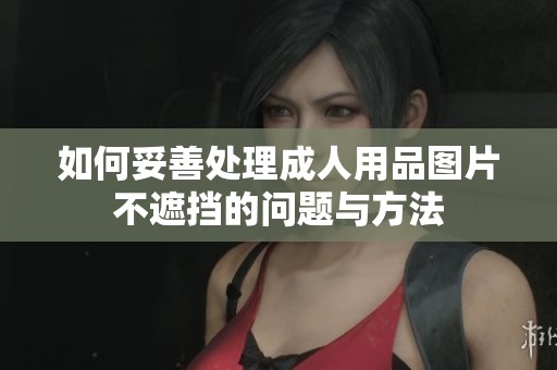 如何妥善处理成人用品图片不遮挡的问题与方法