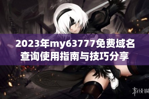 2023年my63777免费域名查询使用指南与技巧分享