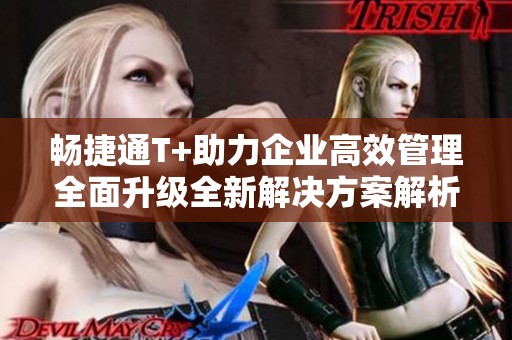 畅捷通T+助力企业高效管理全面升级全新解决方案解析