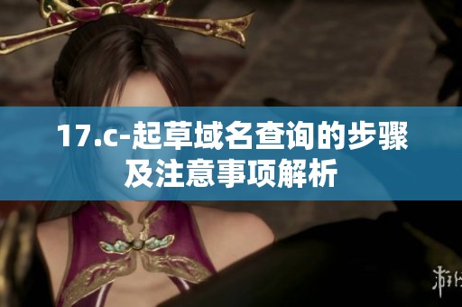 17.c-起草域名查询的步骤及注意事项解析