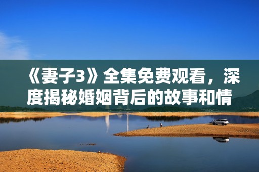 《妻子3》全集免费观看，深度揭秘婚姻背后的故事和情感纠葛