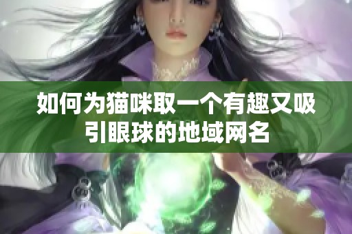如何为猫咪取一个有趣又吸引眼球的地域网名