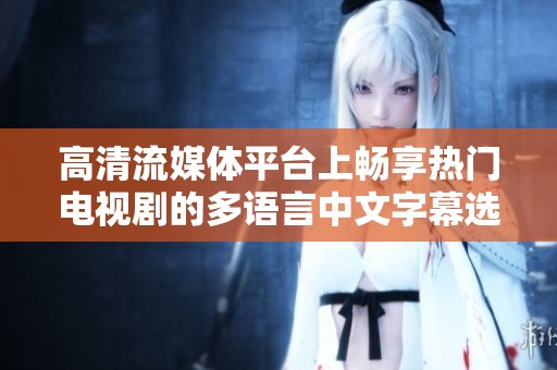 高清流媒体平台上畅享热门电视剧的多语言中文字幕选项