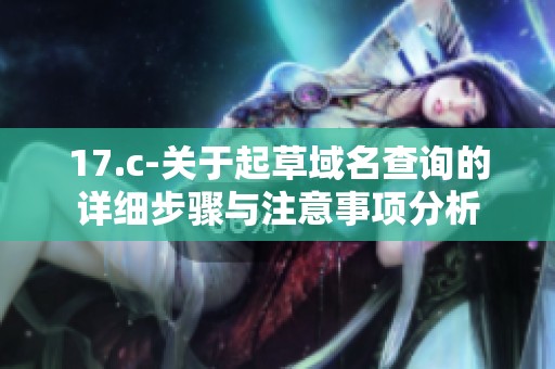 17.c-关于起草域名查询的详细步骤与注意事项分析