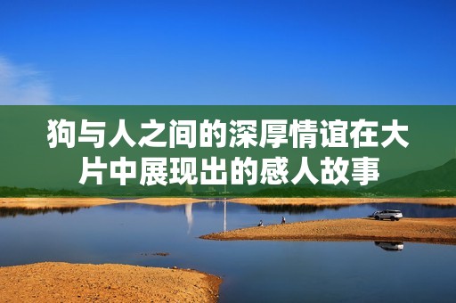 狗与人之间的深厚情谊在大片中展现出的感人故事