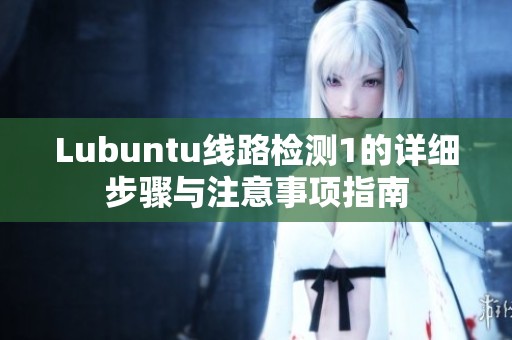 Lubuntu线路检测1的详细步骤与注意事项指南