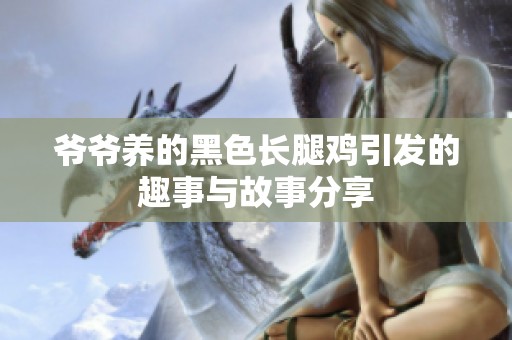 爷爷养的黑色长腿鸡引发的趣事与故事分享
