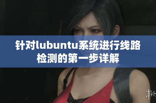 针对lubuntu系统进行线路检测的第一步详解