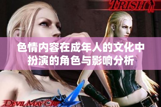 色情内容在成年人的文化中扮演的角色与影响分析
