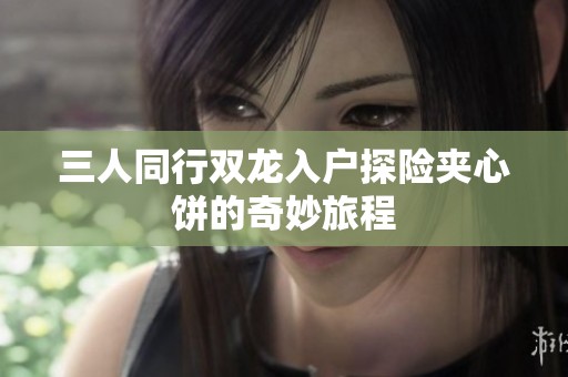 三人同行双龙入户探险夹心饼的奇妙旅程