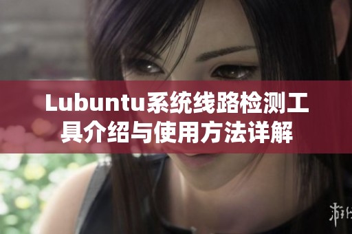 Lubuntu系统线路检测工具介绍与使用方法详解