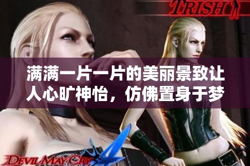 满满一片一片的美丽景致让人心旷神怡，仿佛置身于梦境之中