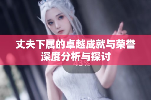 丈夫下属的卓越成就与荣誉深度分析与探讨