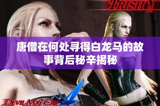 唐僧在何处寻得白龙马的故事背后秘辛揭秘