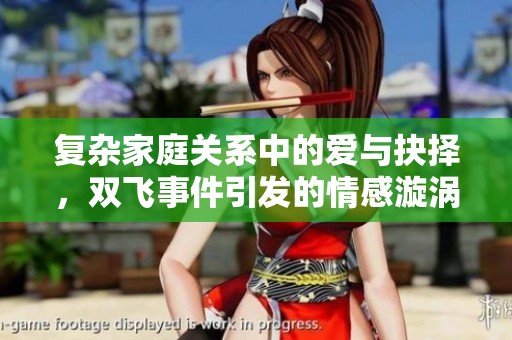 复杂家庭关系中的爱与抉择，双飞事件引发的情感漩涡