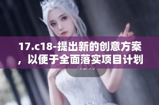 17.c18-提出新的创意方案，以便于全面落实项目计划