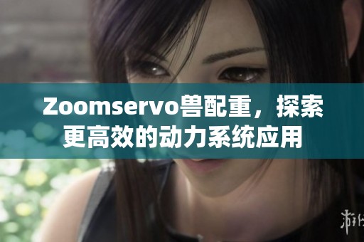 Zoomservo兽配重，探索更高效的动力系统应用