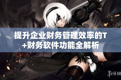 提升企业财务管理效率的T+财务软件功能全解析
