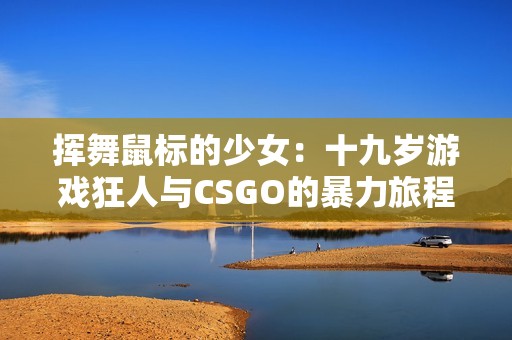 挥舞鼠标的少女：十九岁游戏狂人与CSGO的暴力旅程