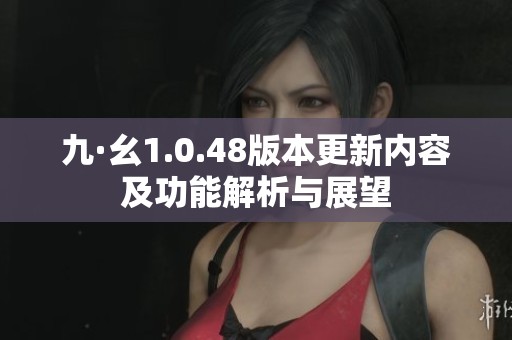 九·幺1.0.48版本更新内容及功能解析与展望
