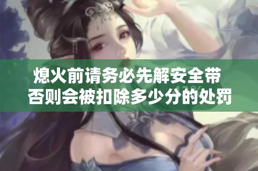 熄火前请务必先解安全带 否则会被扣除多少分的处罚信息