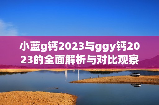 小蓝g钙2023与ggy钙2023的全面解析与对比观察