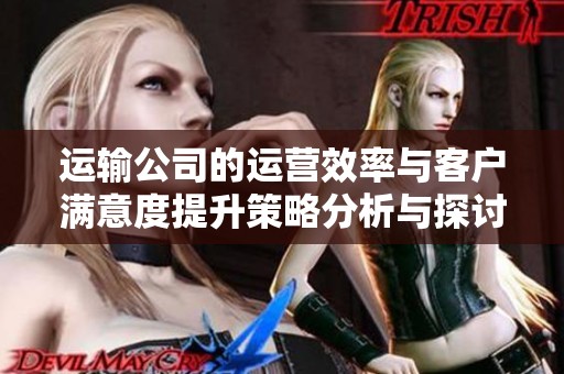 运输公司的运营效率与客户满意度提升策略分析与探讨